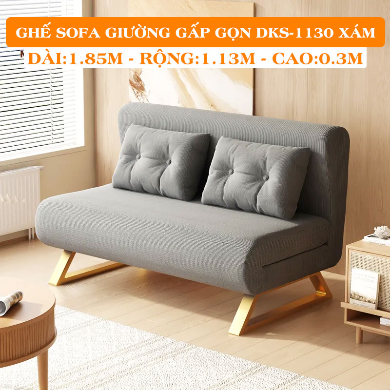 dks-1130-anh-1