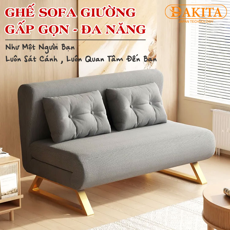 dks-730-anh-2