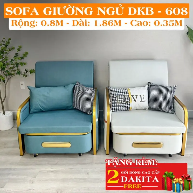 DKB--608