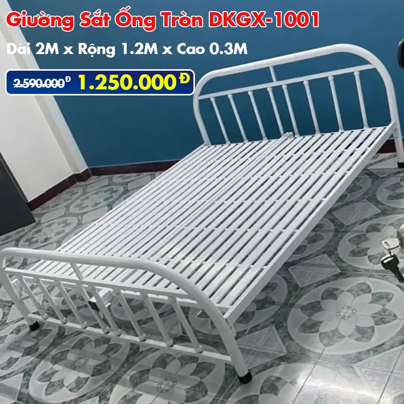 Giuong-sat59