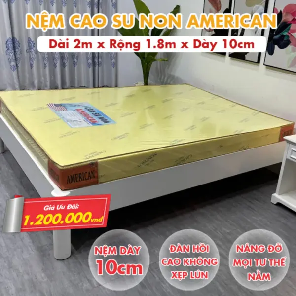 Nệm Cao Su Non America - Độ Đàn Hồi Cao Không Xẹp Lún