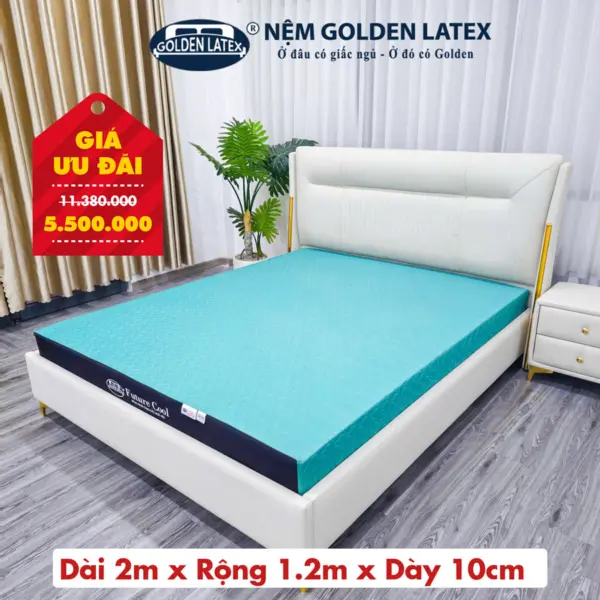 [Rộng 1.2m] Nệm Future Cool Memory Foam