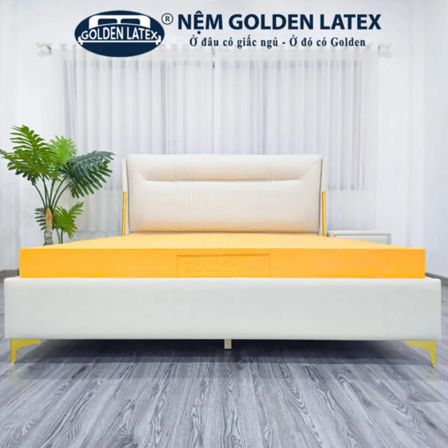 Nem-cao-su-thien-nhien-anh-1